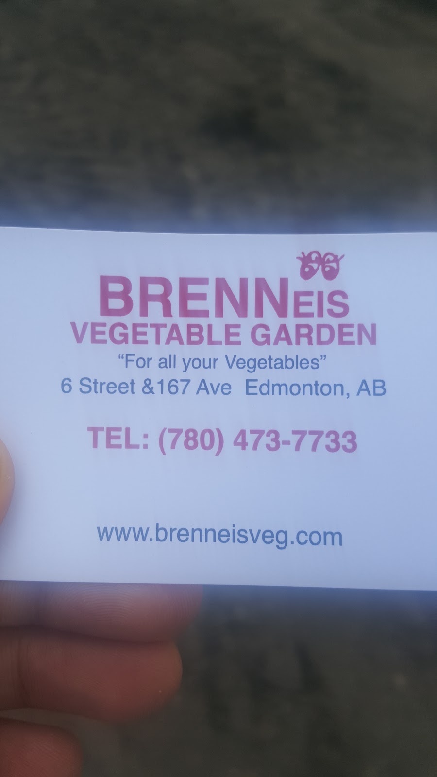 Brenneis Vegetable Garden Ltd | 16580 6 St NW, Edmonton, AB T5Y 6K7, Canada | Phone: (780) 473-7733