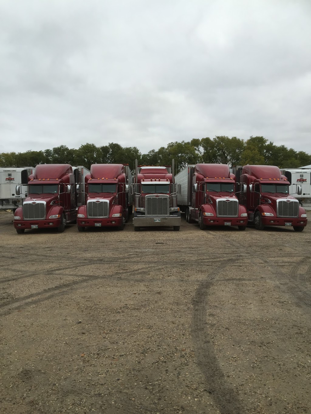 Pearl Transport Inc | Prairie Rose Rd, Landmark, MB R0A 0X0, Canada | Phone: (204) 355-9522