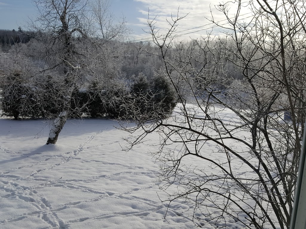 Les Chalets de La Rivière (Mississquoi) | 388 Rte de Mansonville, Mansonville, QC J0E 1X0, Canada | Phone: (514) 926-2080