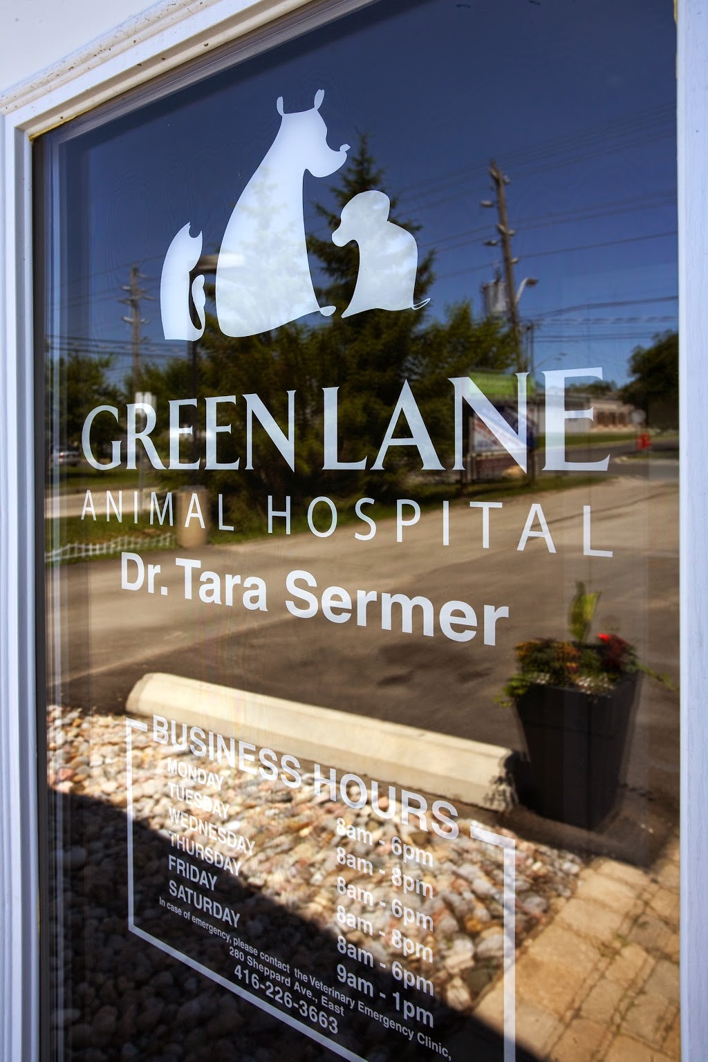 Green Lane Animal Hospital | 392 John St, Thornhill, ON L3T 5W6, Canada | Phone: (905) 597-7373