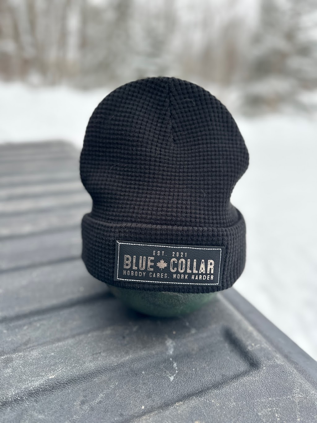 Blue Collar Apparel Canada | 2897 Fairgrounds Rd, Washago, ON L0K 2B0, Canada | Phone: (705) 345-7168