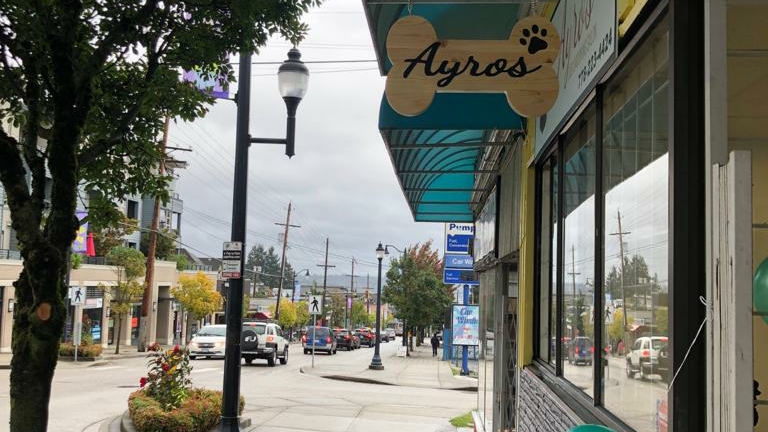 Ayros Dog Grooming Salon | 722 12th St, New Westminster, BC V3M 2N1, Canada | Phone: (778) 223-4424