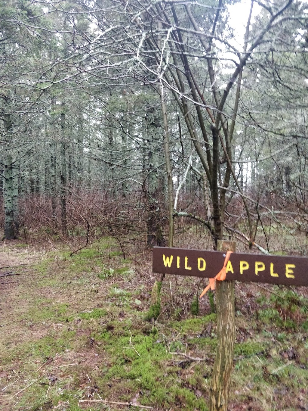 Auburn Demo Woodlot | Byis Ln, Prince Edward Island C0A 1T0, Canada | Phone: (902) 368-4700