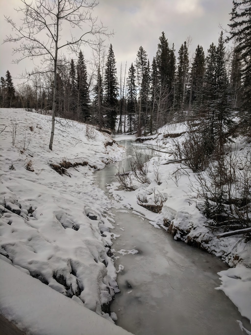 Sulphur Springs Trail | Sulphur Springs Trail, Bragg Creek, AB T0L 0K0, Canada