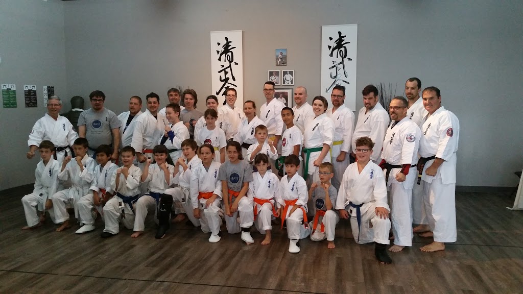 Karate St-Jean School Mario Poupart | 430 , 8 ie Avenue, (boul. Iberville), Saint-Jean-sur-Richelieu, QC J2X 1L9, Canada | Phone: (514) 260-5535