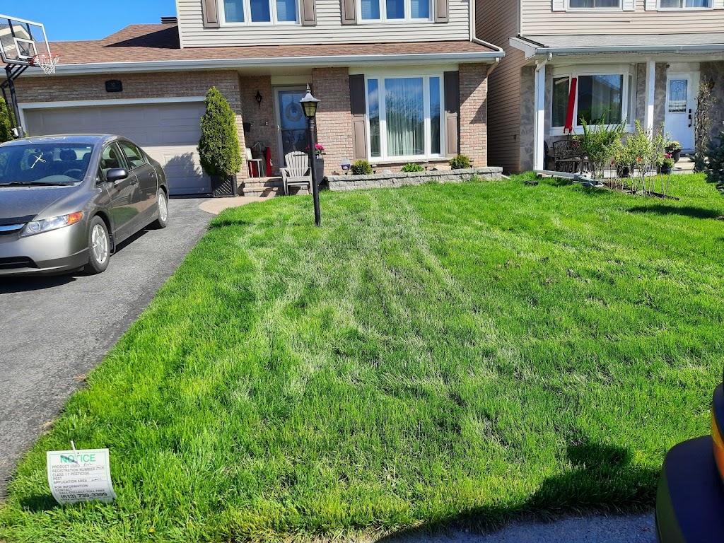 Nutri-Lawn Ottawa Ecology Friendly Lawn Care | 1038 Belfast Rd, Ottawa, ON K1B 3S3, Canada | Phone: (613) 317-2295