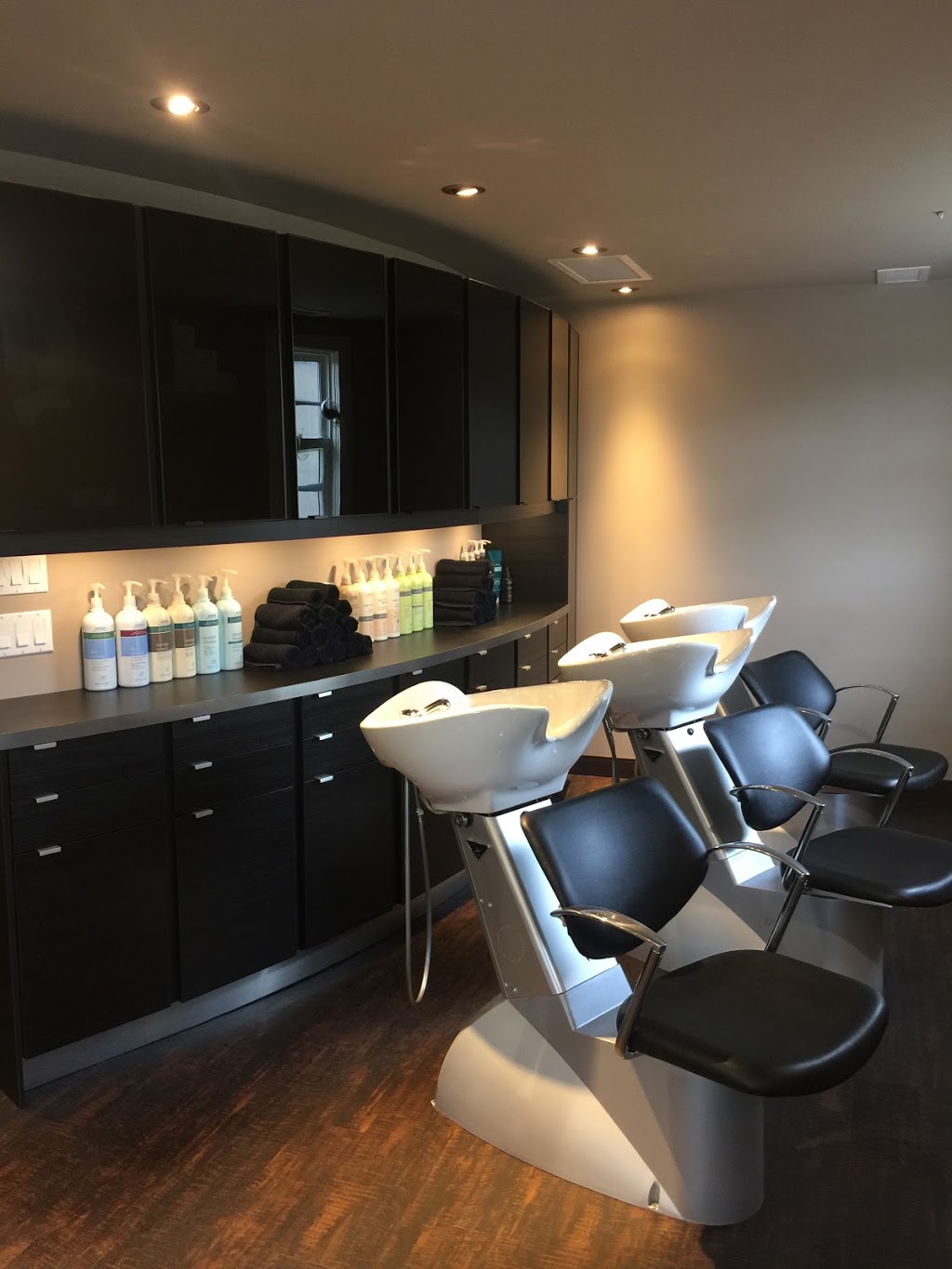 Euphoria Hair Salon and Spa | 1195 Wellington St W, Ottawa, ON K1Y 2Z6, Canada | Phone: (613) 792-1000