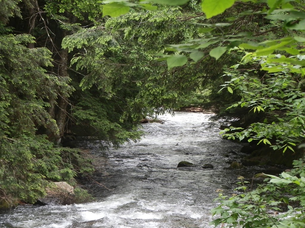 Stouffer Mill Bed & Breakfast | Algonquin Highlands, ON K0M 1J2, Canada | Phone: (705) 489-3024