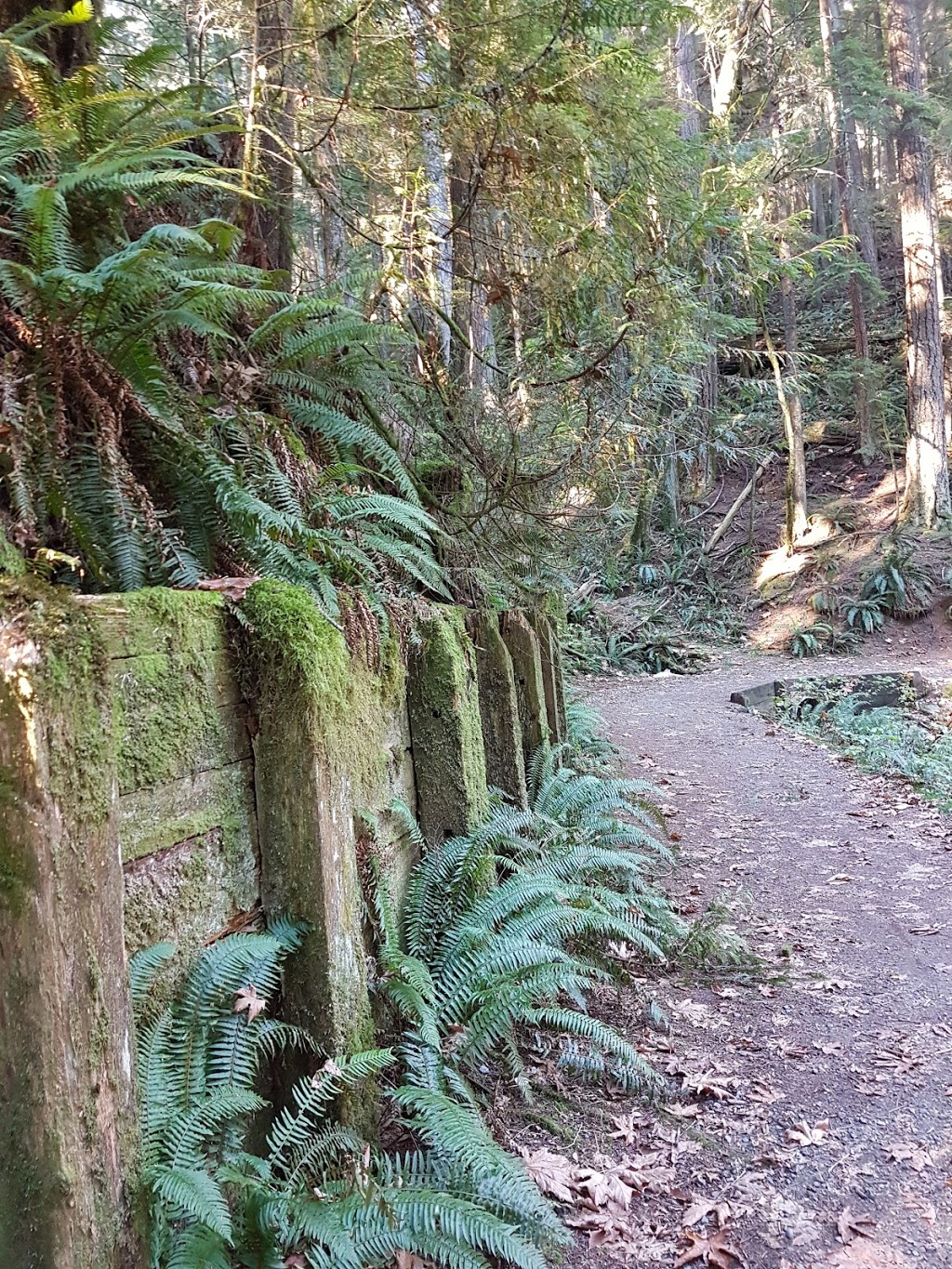 Fishermans trail | Spur 4, North Vancouver, BC V7J, Canada