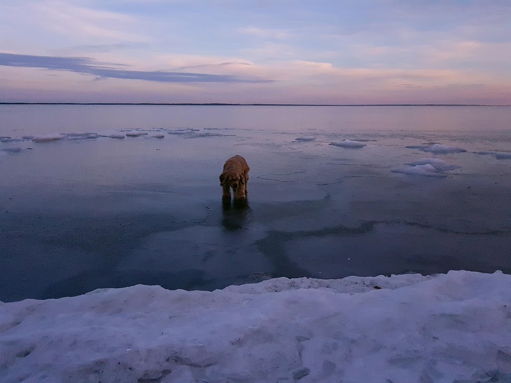 Pigeon Lake | Wetaskiwin County No. 10, AB T0C 2C0, Canada