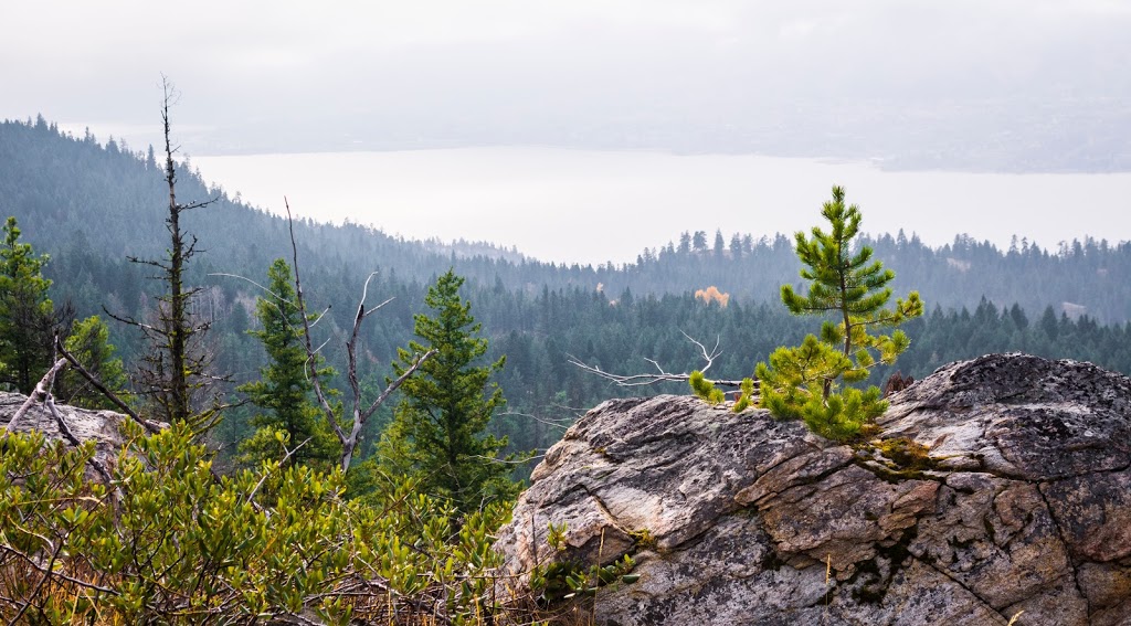 Okanagan Mountain Provincial Park | Lakeshore Rd, Okanagan-Similkameen E, BC V0H, Canada | Phone: (250) 548-0076