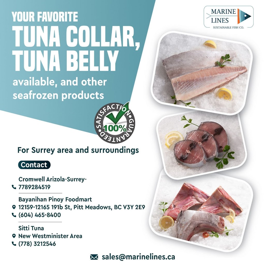 BC Yellowfin Tuna | 15932 96 Ave, Surrey, BC V4N 2L6, Canada | Phone: (778) 928-4519