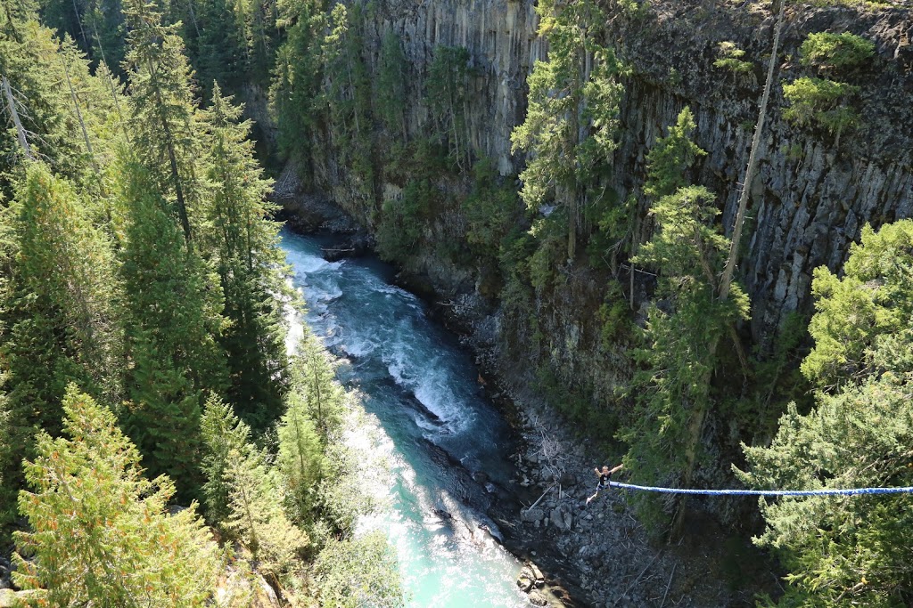 Whistler Bungee Bridge | Calcheak Forest Service Rd, Whistler, BC V0N 1B1, Canada | Phone: (877) 938-9333