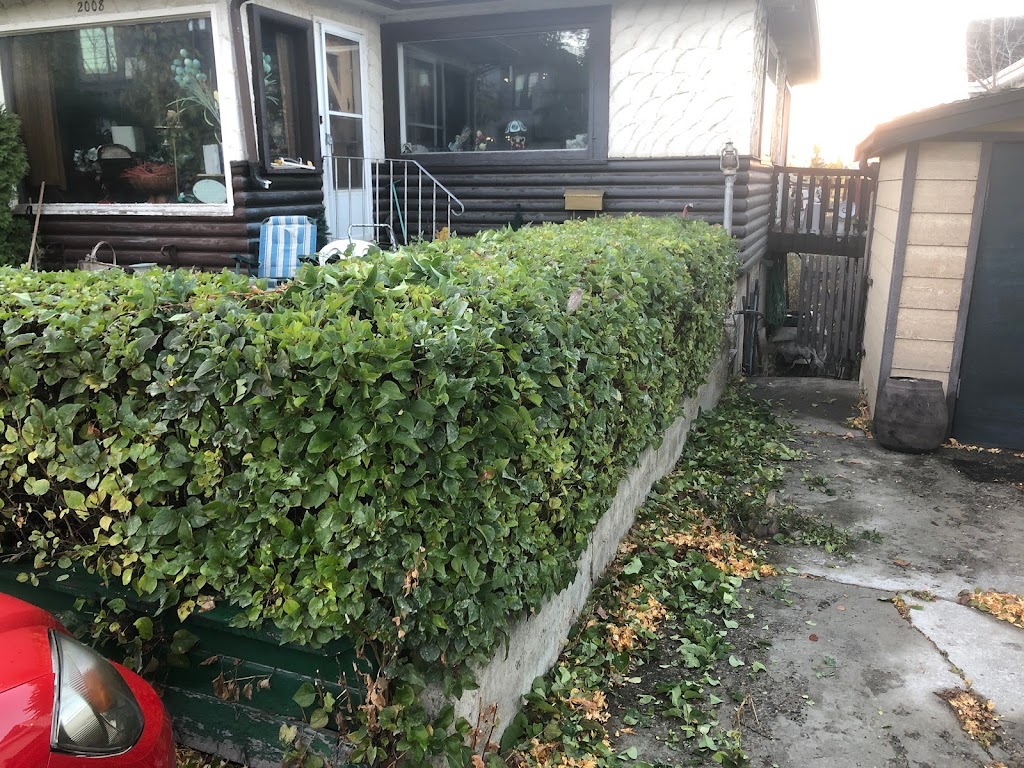 Cochrane Small Tree Pruning | 52 Bow Ridge Dr, Cochrane, AB T4C 1V5, Canada | Phone: (403) 505-9615