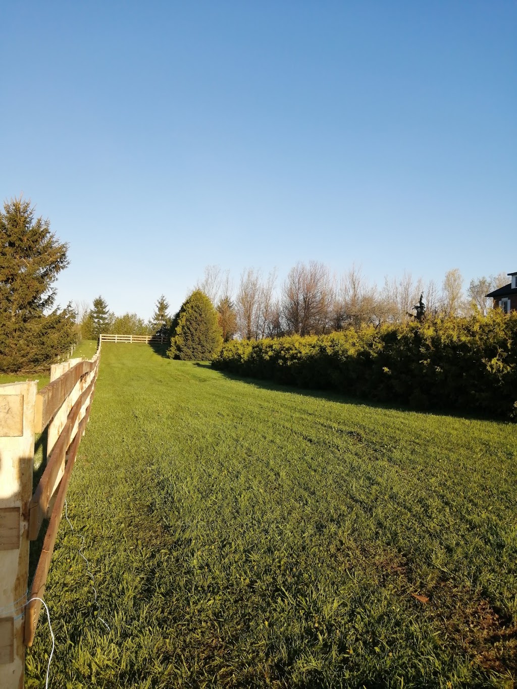 Gloucester Woods Horse Boarding | 845205 Deviation Rd, Meaford, ON N4L 1W5, Canada | Phone: (905) 465-5845