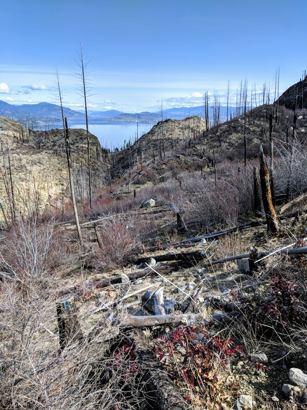 Cedar Mountain Regional Park | Southwest Mission, Kelowna, BC V1W, Canada