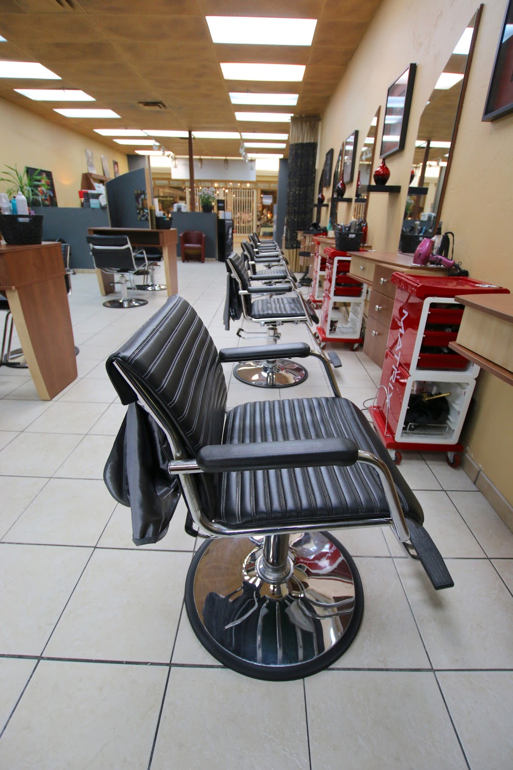 Carisme Coiffure | 3279 Boulevard des Sources, Dollard-des-Ormeaux, QC H9B 1Z6, Canada | Phone: (514) 683-8383