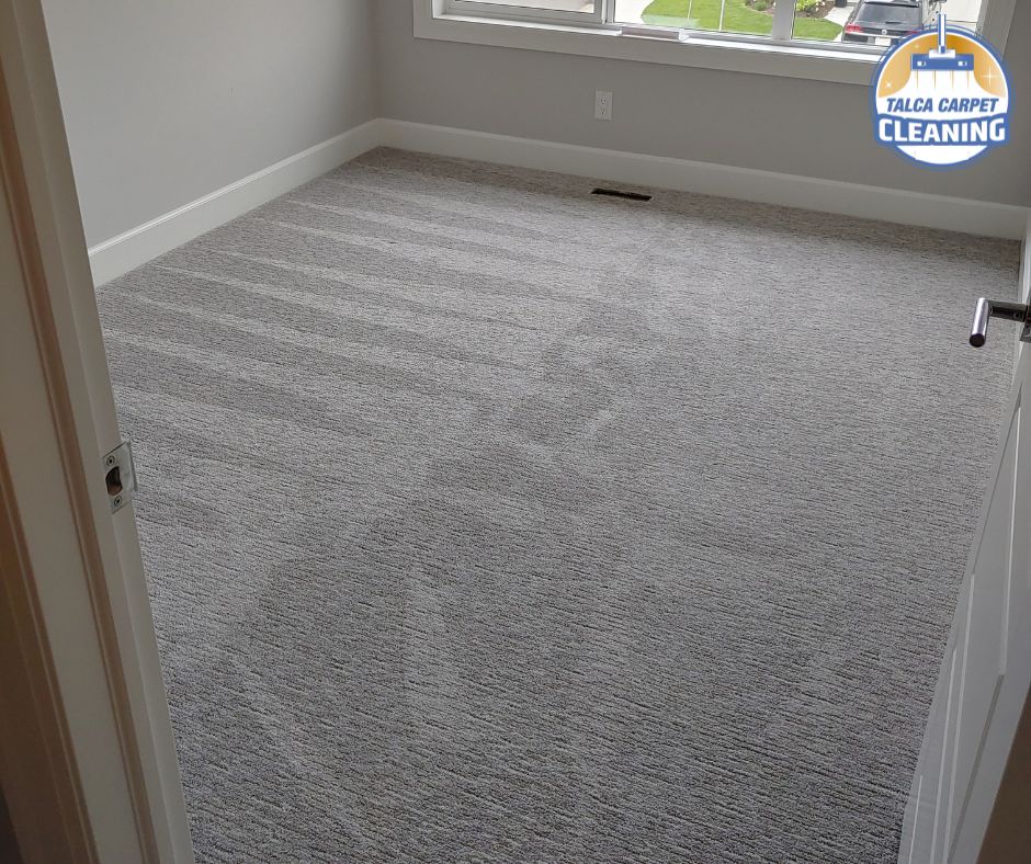 Talca Carpet Cleaning | Hunterquay Rd NW, Calgary, AB T2K 4V1, Canada | Phone: (587) 433-1080