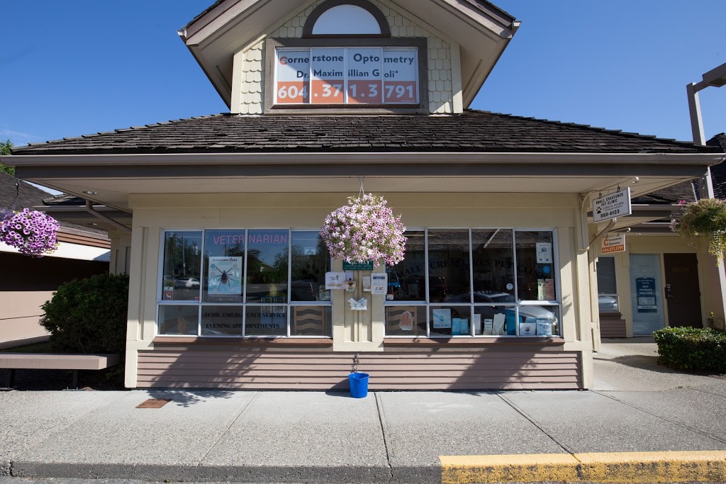 Small Creatures Pet Clinic | 21183 88 Ave Suite 302, Langley City, BC V1M 2G5, Canada | Phone: (604) 888-6123