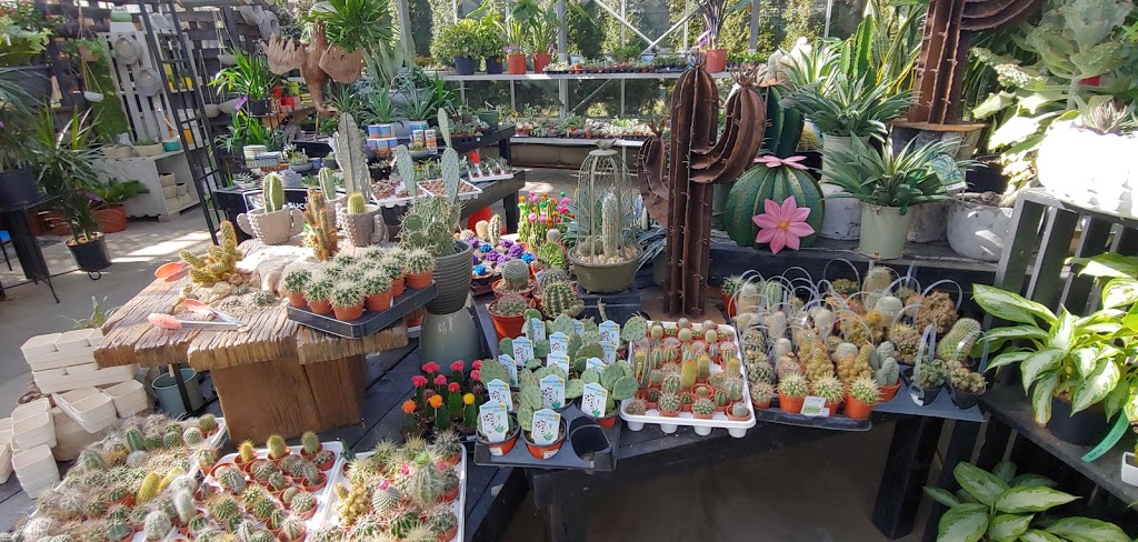 Glasshouse Nursery & Garden Centre | 56 Creek Rd, Chatham-Kent, ON N7M 0L2, Canada | Phone: (519) 352-1127