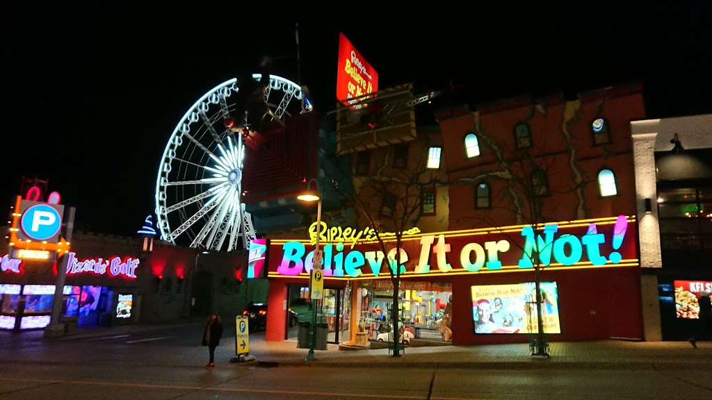 Ripleys Believe It or Not! | 4960 Clifton Hill, Niagara Falls, ON L2G 3N4, Canada | Phone: (905) 356-2238