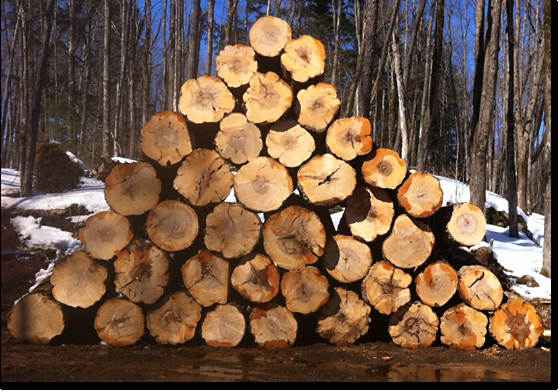 Larry Miscio Logging & Firewood Sales | 1382 Eagle Lake Rd, Eagle Lake, ON K0M 1M0, Canada | Phone: (705) 754-3762