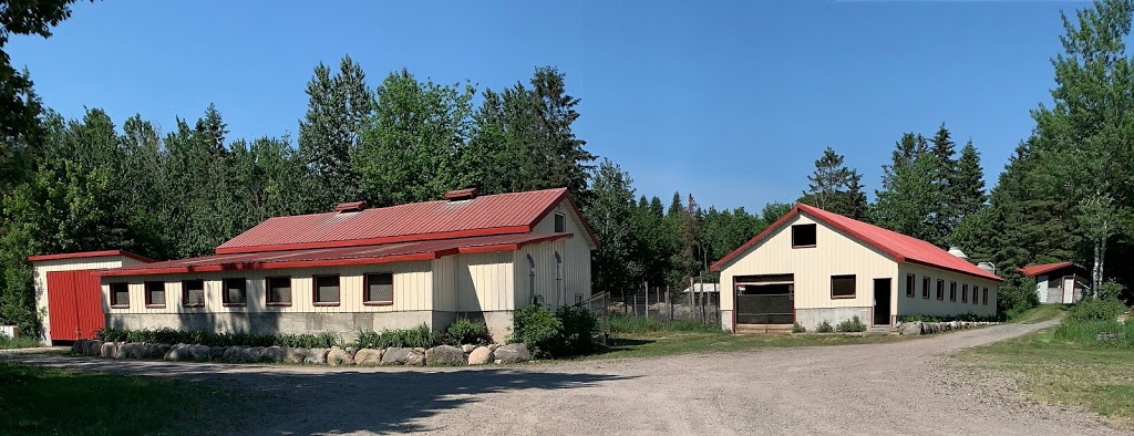 Ferme Sanglier des Bois | 440 Rang Petit Capsa, Saint-Augustin-de-Desmaures, QC G3A 1W8, Canada | Phone: (418) 878-0010