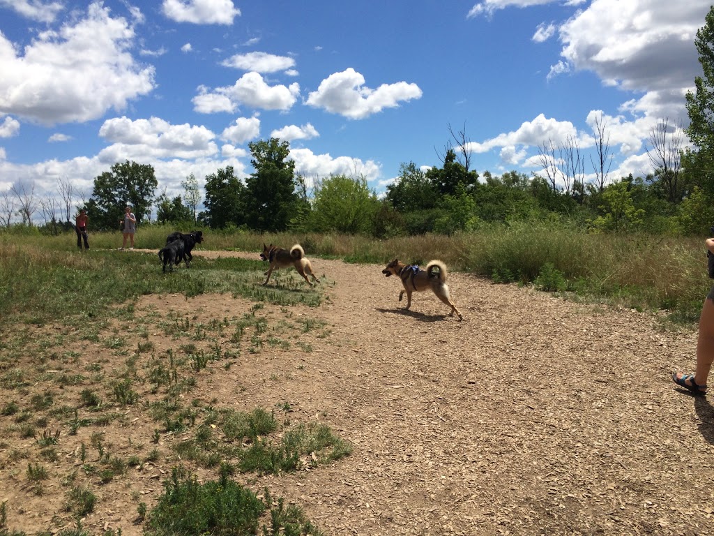 Bechtel Dog Park | 59 Bridge St W, Kitchener, ON N2K 1K6, Canada | Phone: (519) 576-2420