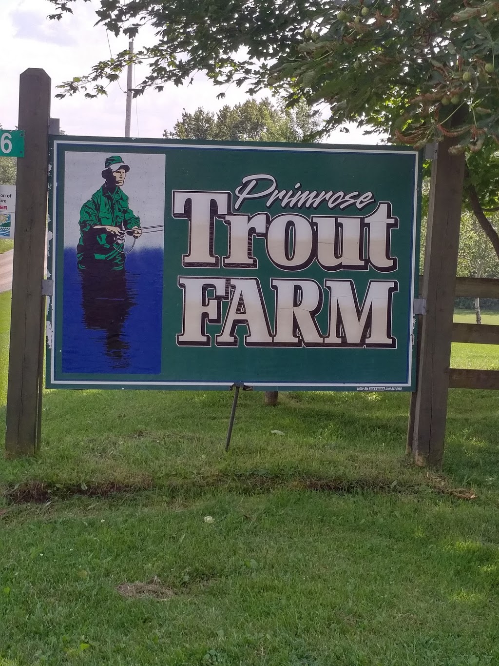 Primrose Trout Farm | 595646 Blind Line, Mono, ON L9V 0Z4, Canada | Phone: (519) 925-3846