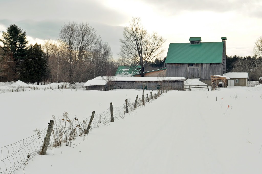 Yoga à la ferme | 540 Chemin Labonté, Cookshire-Eaton, QC J0B 1M0, Canada | Phone: (819) 580-3568