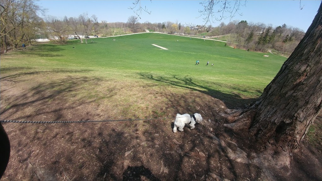 Cedarvale Park Dogs Off-Leash Area | 443 Arlington Ave, York, ON M6C 3A2, Canada | Phone: (416) 392-2489