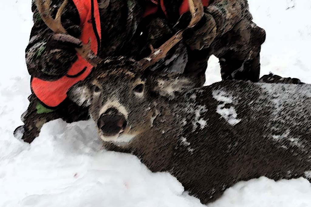 Aventure chasse pêche | 18660 Bd Lacroix, Saint-Georges, QC G5Y 5B8, Canada | Phone: (418) 558-1185