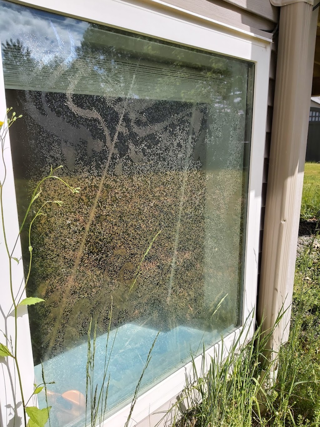 Island Style Window Screen & Glass | 4235 Briardale Rd, Courtenay, BC V9N 9R6, Canada | Phone: (250) 703-3000