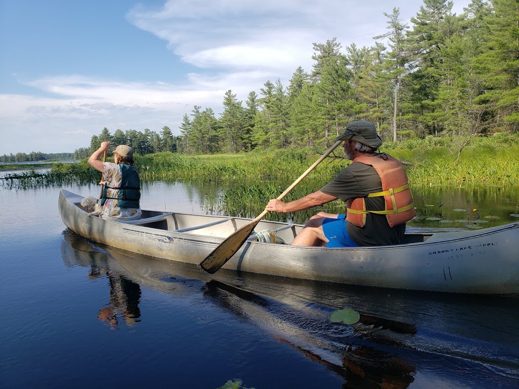 Grundy Lake Provincial Park | ON-522, Unorganized Centre Parry Sound District, ON P0G, Canada | Phone: (705) 383-2286