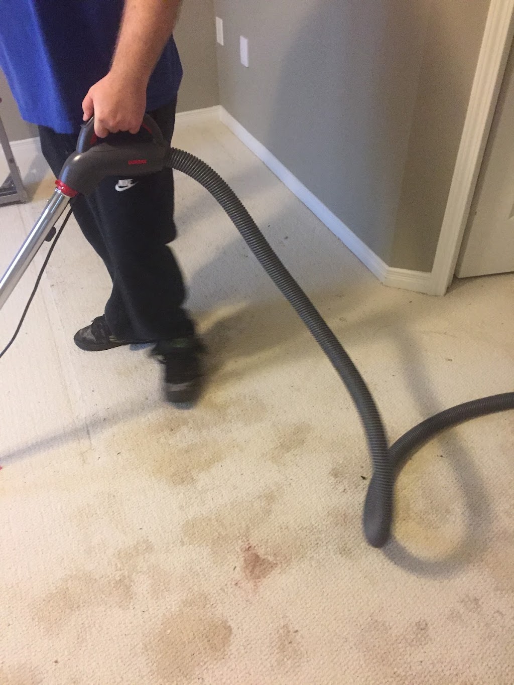 Maple Carpet Cleaning | 37 Grovepark St, Richmond Hill, ON L4E 3L5, Canada | Phone: (416) 402-2008