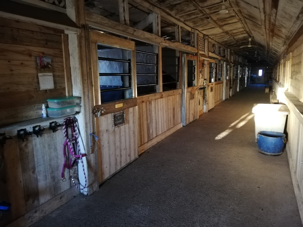 Centre Equestre Jessy Dufresne | 418 Rang Petit Capsa, Saint-Augustin-de-Desmaures, QC G3A 1W8, Canada | Phone: (418) 717-4459