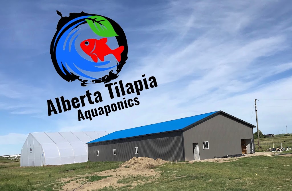 Alberta tilapia | 808 High Country Bay NW, High River, AB T1V 1E3, Canada | Phone: (403) 498-4500