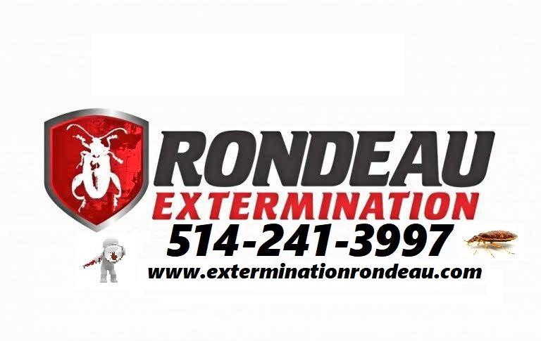 Rondeau extermination | 9565 Boulevard Gouin E #6, Montréal, QC H1E 1E5, Canada | Phone: (514) 241-3997
