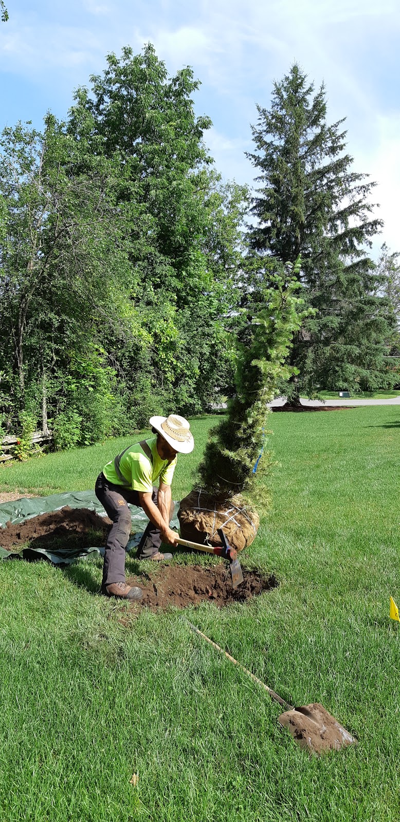 Nimigon Tree Service | 2139 Chemong Rd RR1, Peterborough, ON K9J 6X2, Canada | Phone: (705) 743-4269