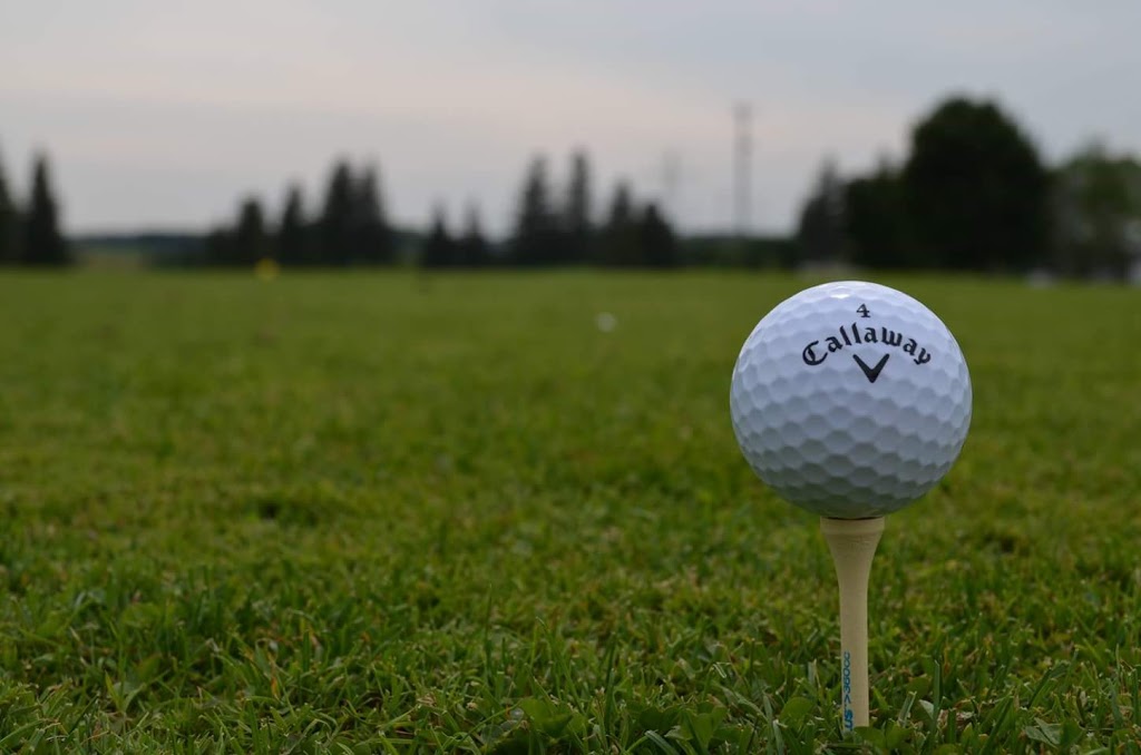 Northridge Public Golf Course | 320 Balmoral Dr, Brantford, ON N3V 1E6, Canada | Phone: (519) 753-6112