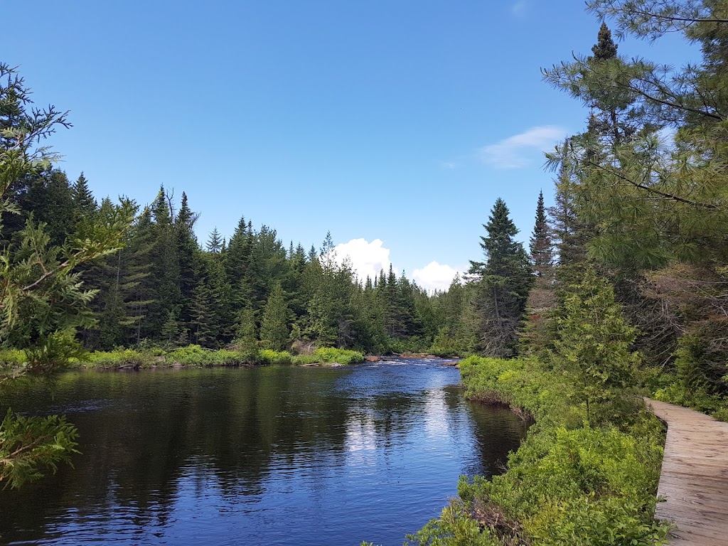 Service DArboriculture Serge | 1270 Chemin St François, Saint-Mathieu-du-Parc, QC G0X 1N0, Canada | Phone: (819) 532-3022