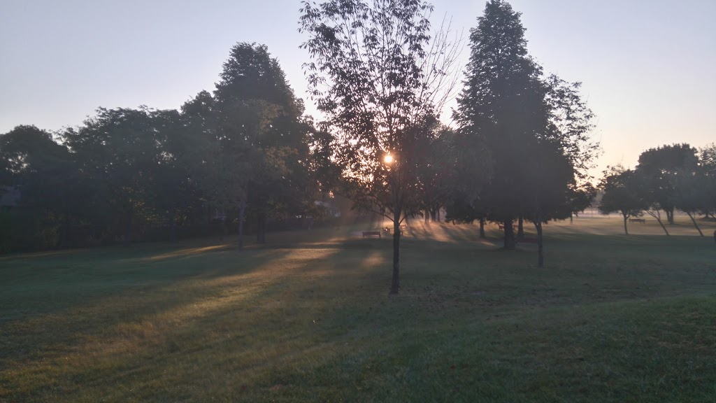 ALLAN J. LEVINE Playground (At Kirwan Park) | 8205 Chemin Mackle, Côte Saint-Luc, QC H4W, Canada