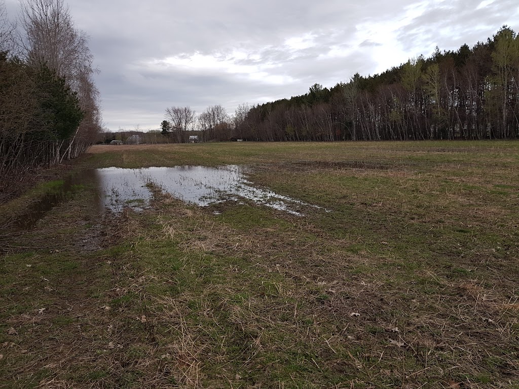 Ferme Joyal et Frères | 12 Rang du Bois-de-Maska, Saint-François-du-Lac, QC J0G 1M0, Canada | Phone: (514) 616-1436