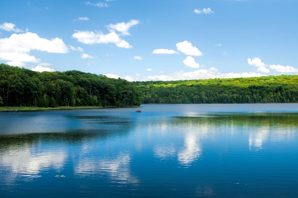 Wendat Hiking Trail | Unnamed Road, Tiny, ON L0K, Canada