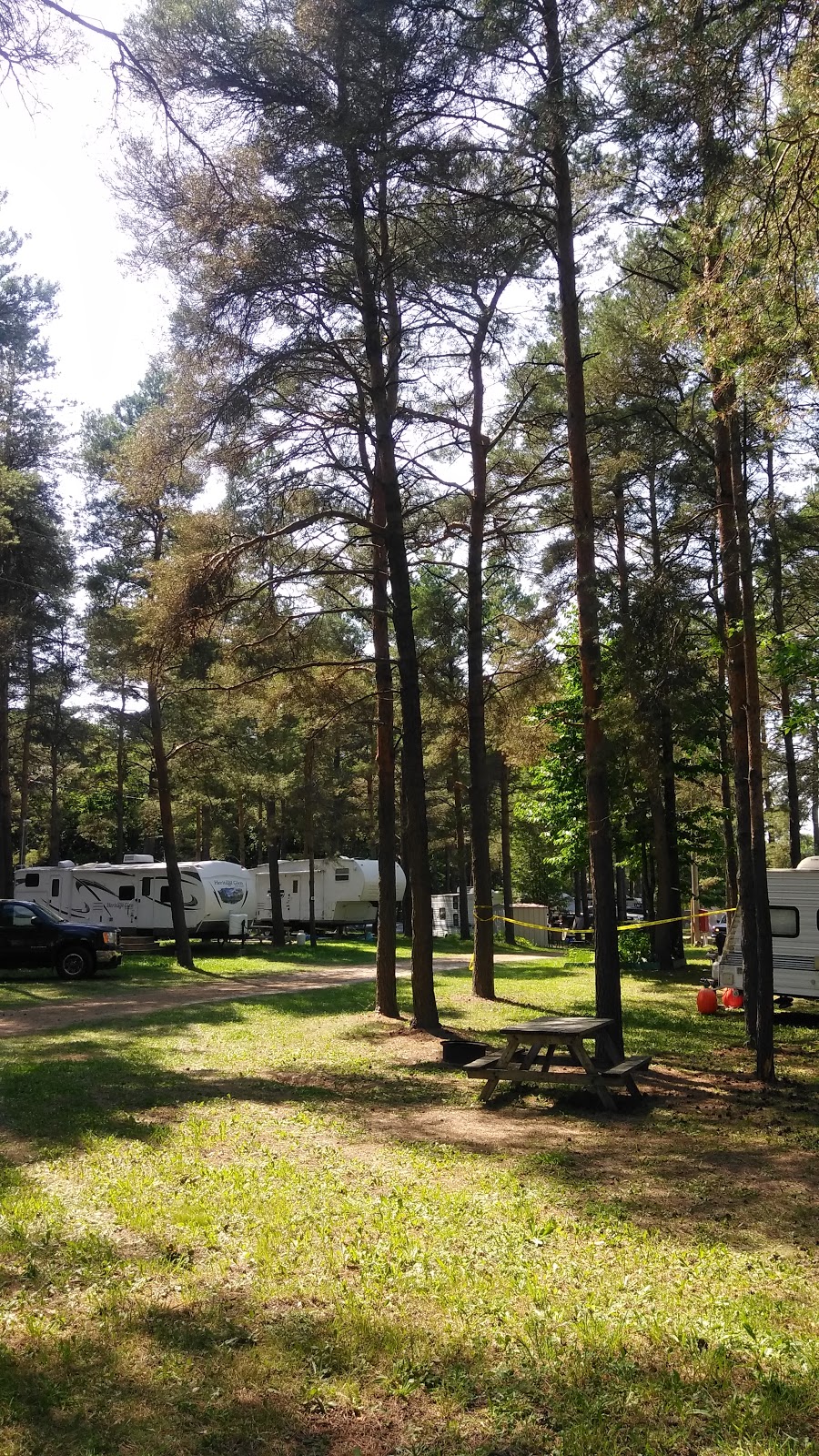 Pine Tree Leisure Camping | 2863 Bruce County Rd 15, Tiverton, ON N0G 2T0, Canada | Phone: (519) 832-5183