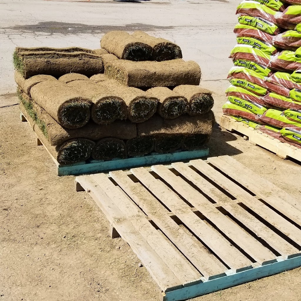 Toemar Garden Supplies and Firewood | 1005 Eglinton Ave W, Mississauga, ON L5V 1R7, Canada | Phone: (905) 826-3821