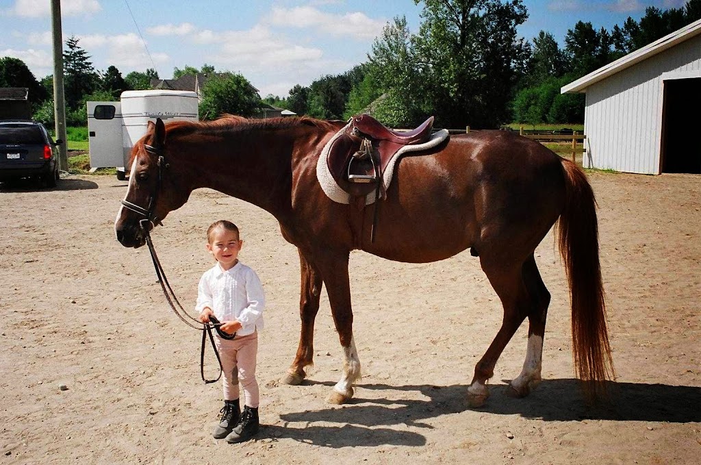 A & T Equestrian Centre | 4615 190 St, Surrey, BC V3Z 1B2, Canada | Phone: (604) 574-3211