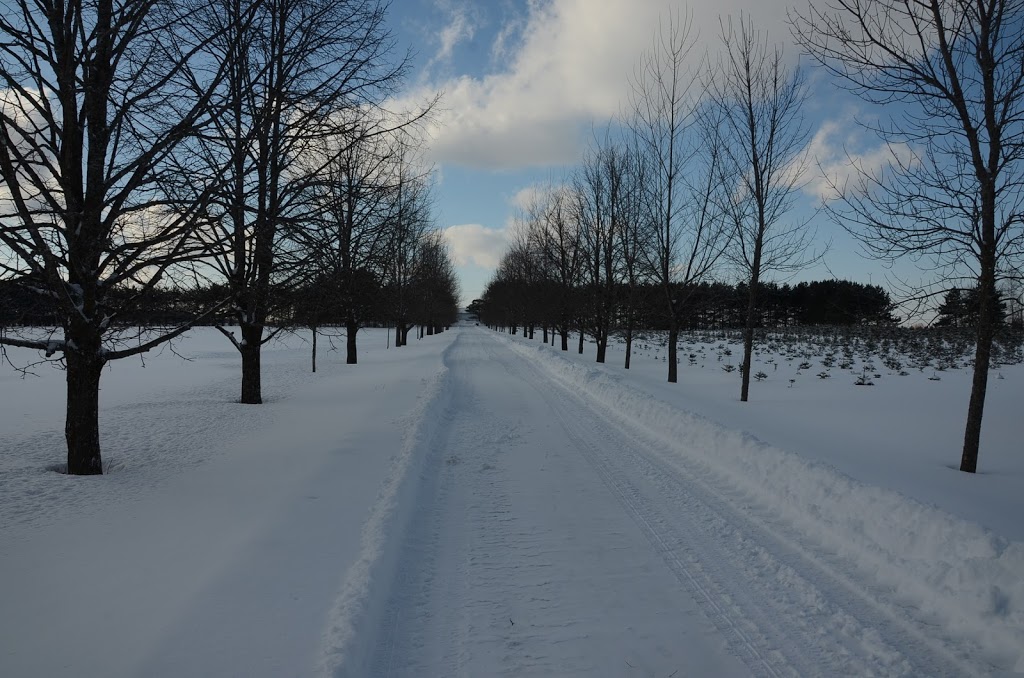 Aux boisés de Béthanie | 1570 Chemin de Béthanie, Béthanie, QC J0H 1E1, Canada | Phone: (450) 548-2873