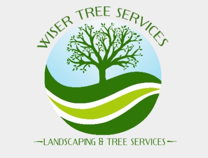 Wiser Tree Services | 15175 62A Ave #65, Surrey, BC V3S 1X1, Canada | Phone: (604) 365-2366