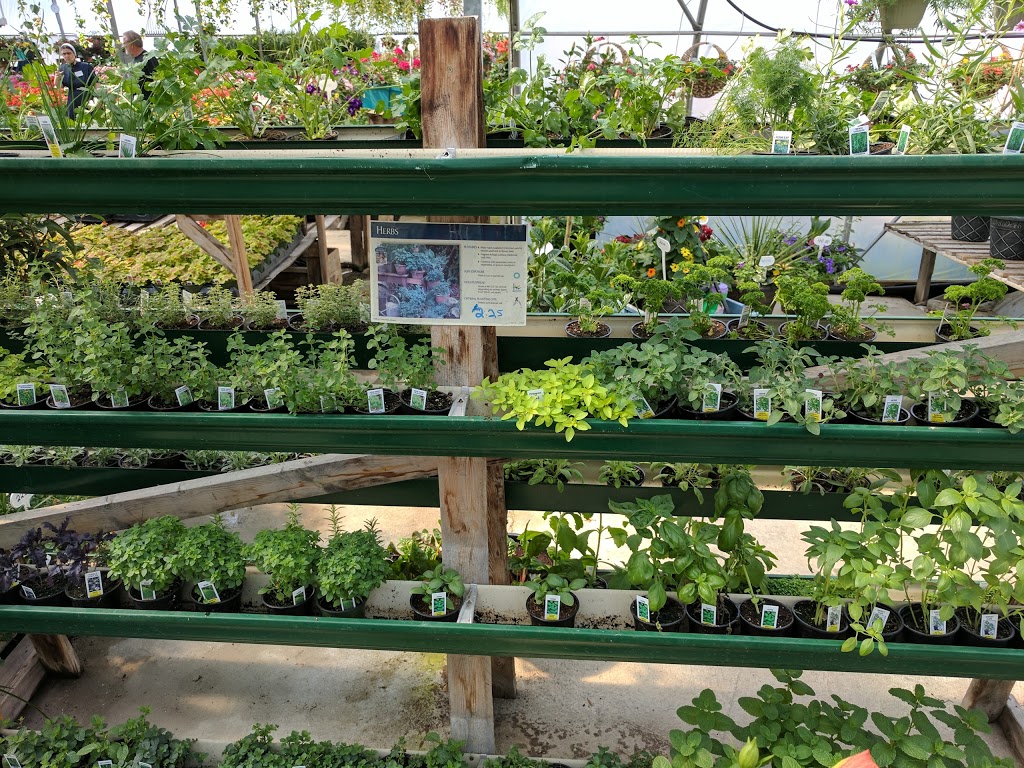 Shady Lanes Greenhouse & Perenials | 6158 Weisenberg Rd, West Montrose, ON N0B 2V0, Canada | Phone: (519) 846-2972